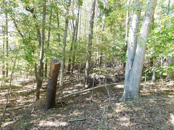 a backyard of a house