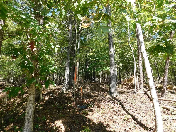 a view of lake view with mountain