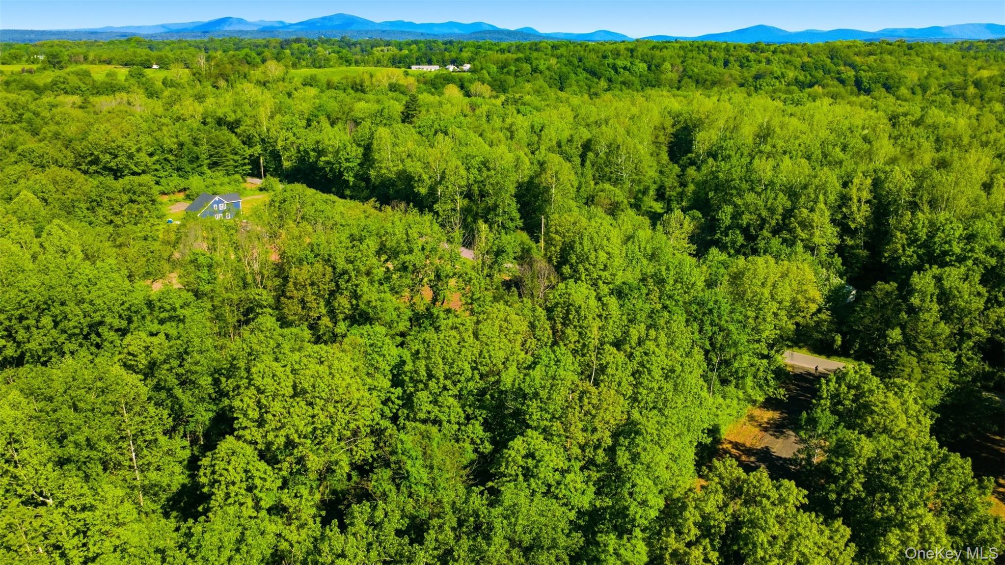 238 Bruceville Road High Falls, NY 12440 - Photo 4 of 15