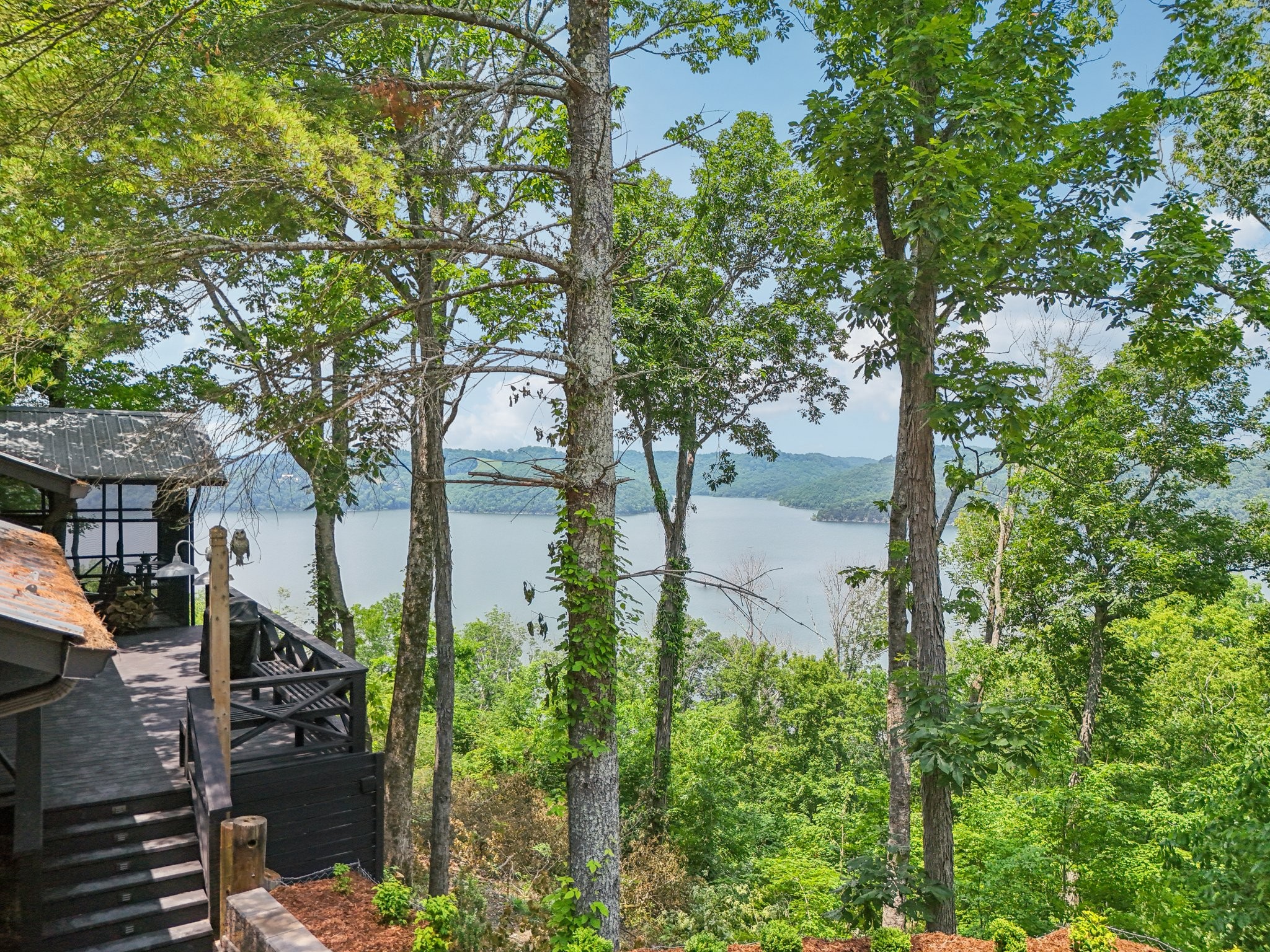675 Black Berry Hill Road Silver Point, TN 38582 - Photo 60 of 78