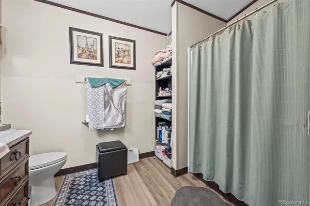a bathroom with a toilet and a shower curtain