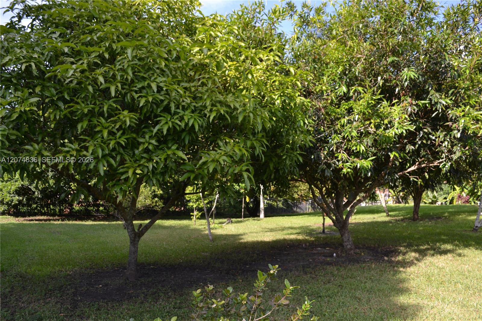 5425 Southwest 190th Avenue Southwest Ranches, FL 33332 - Photo 52 of 53 Gallery Image 52