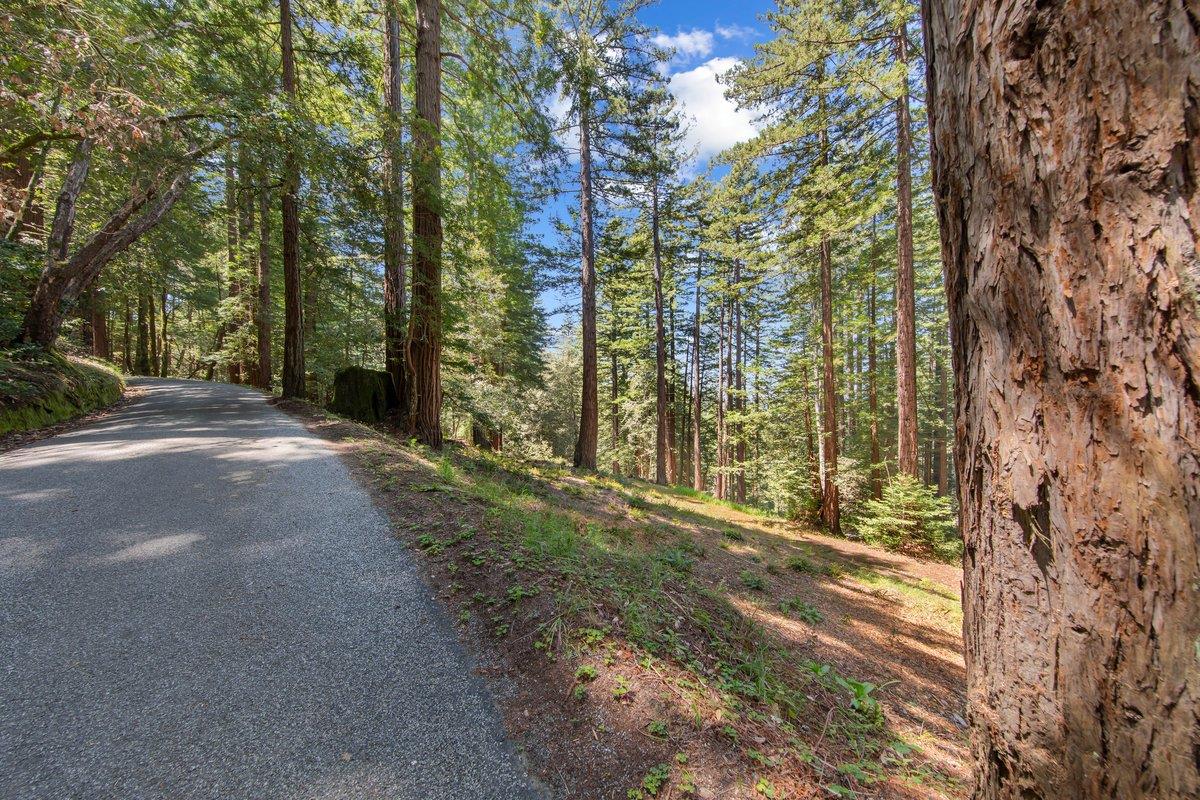 0 Native Sons Road Redwood City, CA 94062 - Photo 8 of 28