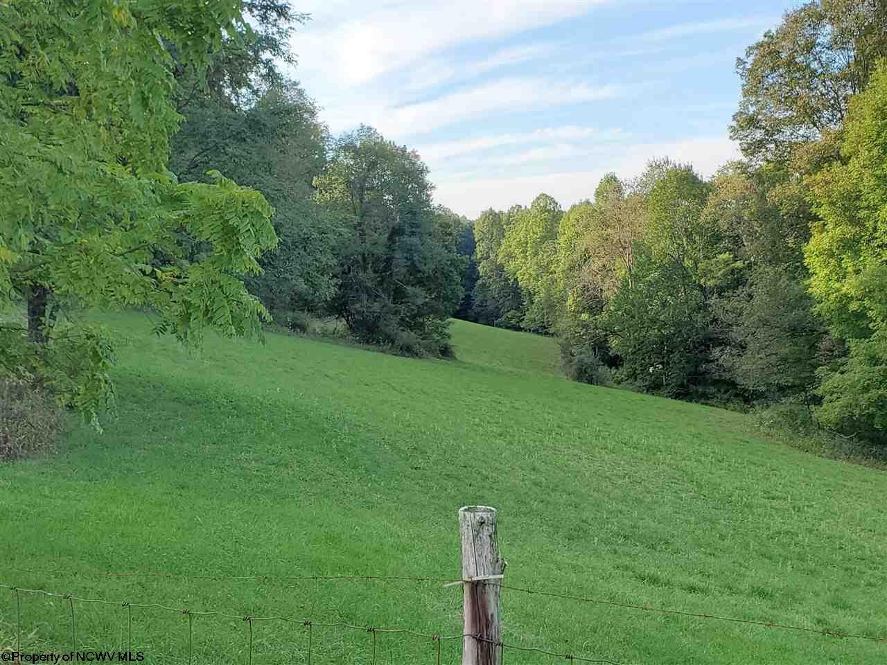 4520 Heaston Ridge Road Crawford, WV 26343 - Photo 10 of 30 Gallery Image 10