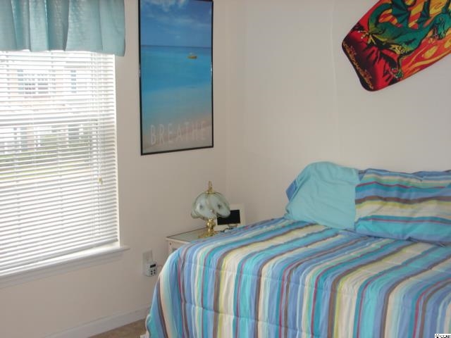 151 Chenoa Drive, Unit F Murrells Inlet, SC 29576 - Photo 20 of 23 Gallery Image 20