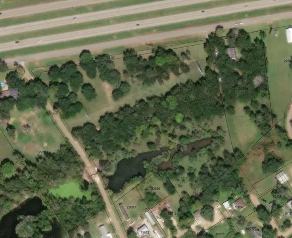 a close up of a plant