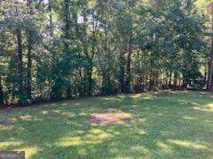 0 Poplar Place Wedowee, AL 36278 - Photo 5 of 11