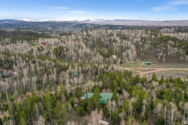 4725 Pine Ridge Road Evanston, UT 82930 - Photo 73 of 82 Expansive natural landscape featuring dense evergreen and deciduous trees