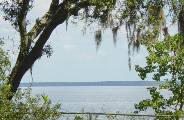 Osprey Lane Santa Rosa Beach, FL 32459 - Photo 1 of 1 Primary Photo