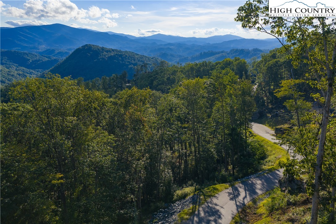C52 Firefly Cove Banner Elk, NC 28604 - Photo 11 of 20 a view of a lush green hillside and a mountain