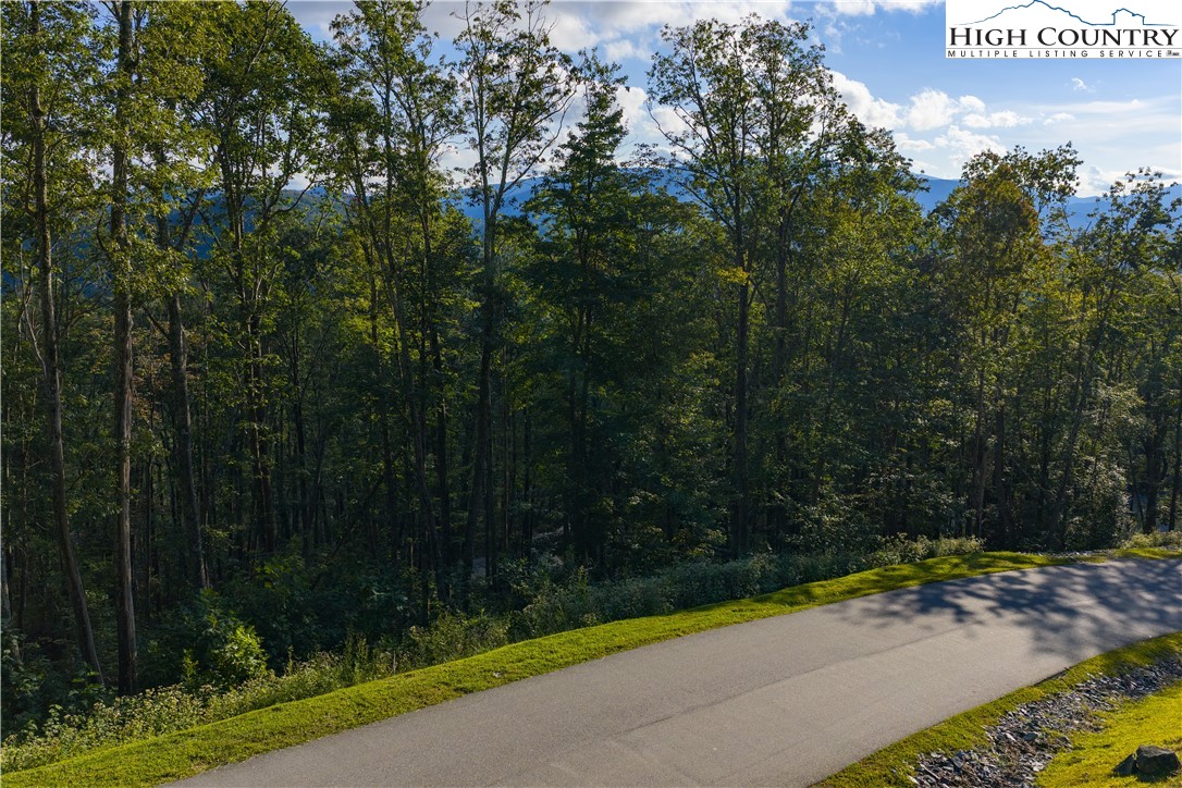 C52 Firefly Cove Banner Elk, NC 28604 - Photo 14 of 20 a view of a street with a bench and trees