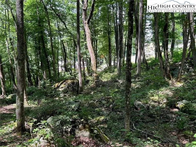 a view of outdoor space and trees