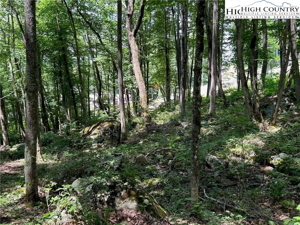 C52 Firefly Cove Banner Elk, NC 28604 - Photo 2 of 20 a view of outdoor space and trees