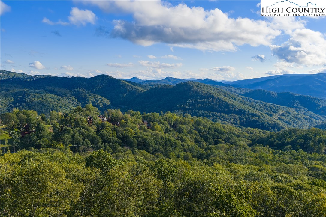 C52 Firefly Cove Banner Elk, NC 28604 - Photo 3 of 20 a view of a lot of trees in a field