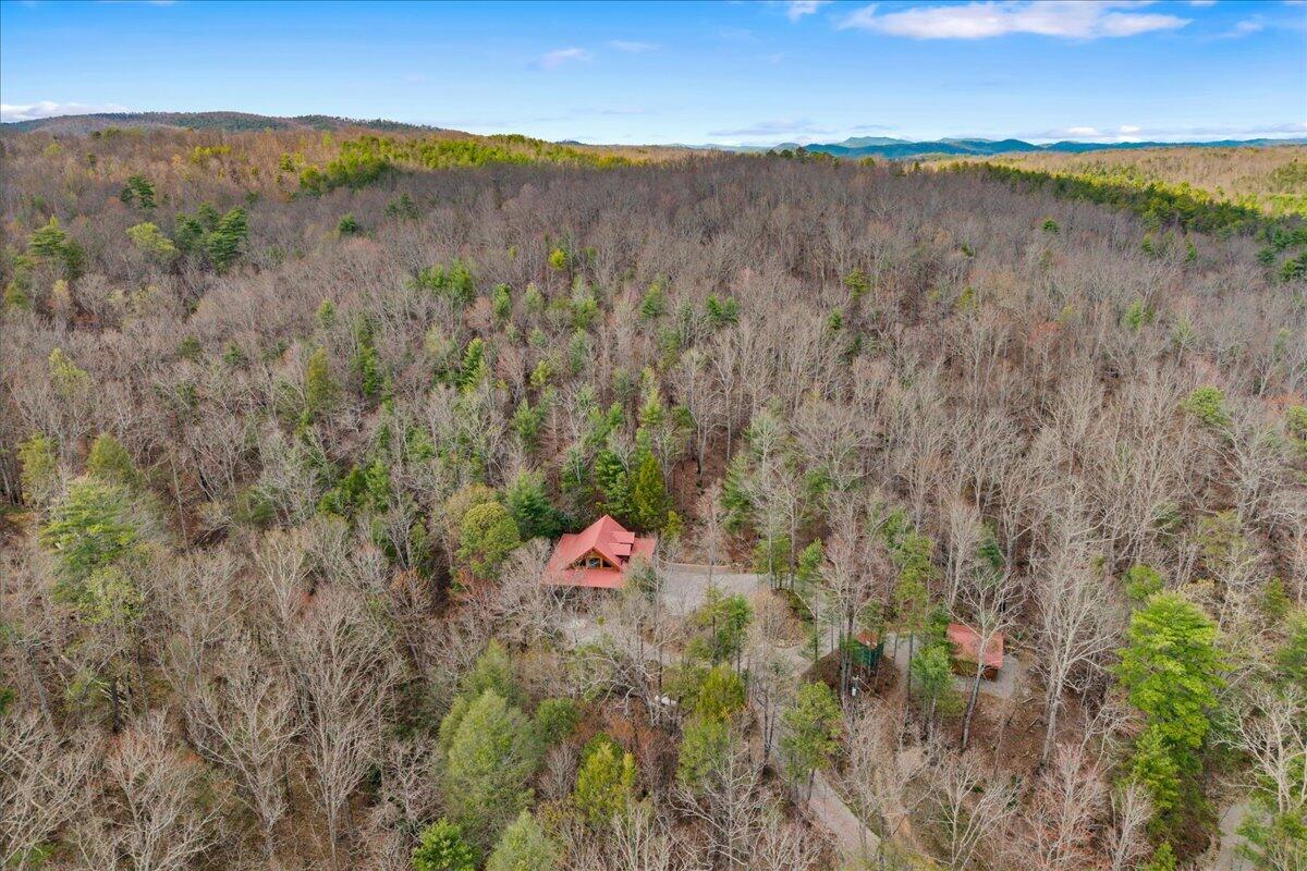 205 Holder Cemetery Road Tellico Plains, TN 37385 - Photo 38 of 43 Aerial 1