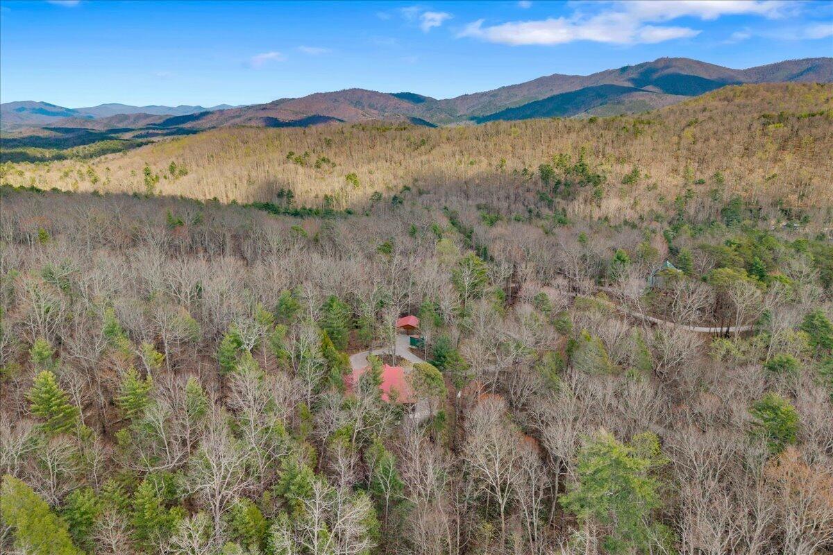 205 Holder Cemetery Road Tellico Plains, TN 37385 - Photo 6 of 43 Aerial 2