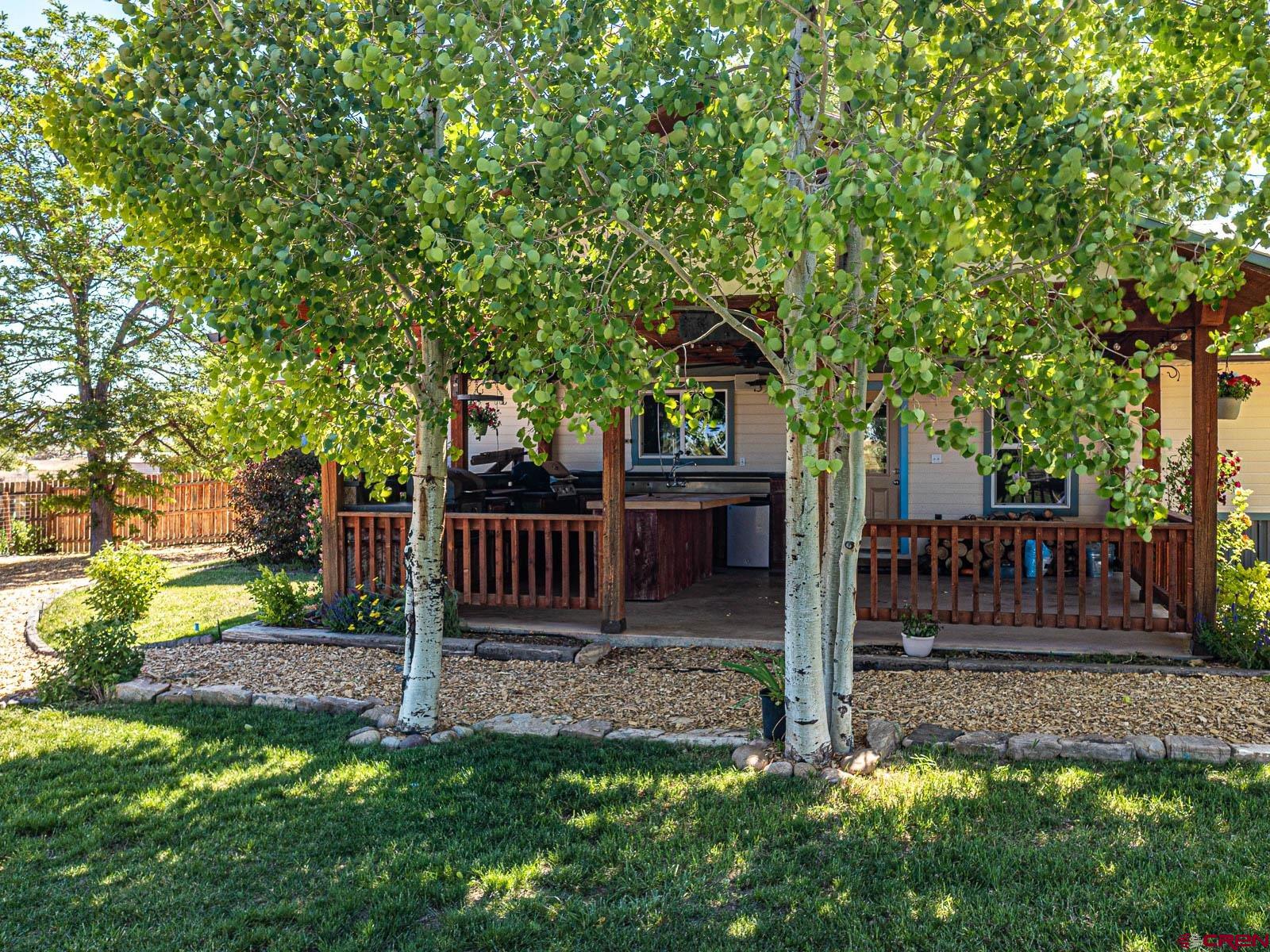 5085 3675th Road Crawford, CO 81415 - Photo 21 of 35 a view of a house with backyard and a tree
