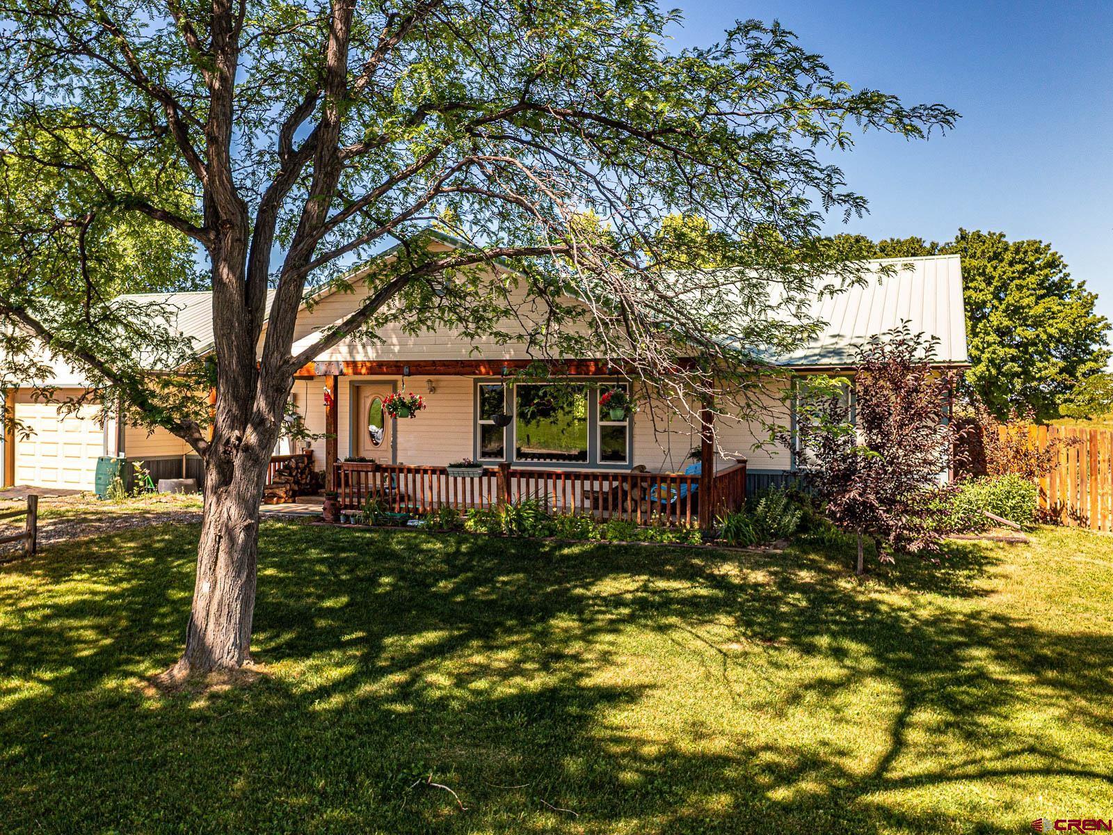 5085 3675th Road Crawford, CO 81415 - Photo 3 of 35 a view of a yard in front of a house with large tree