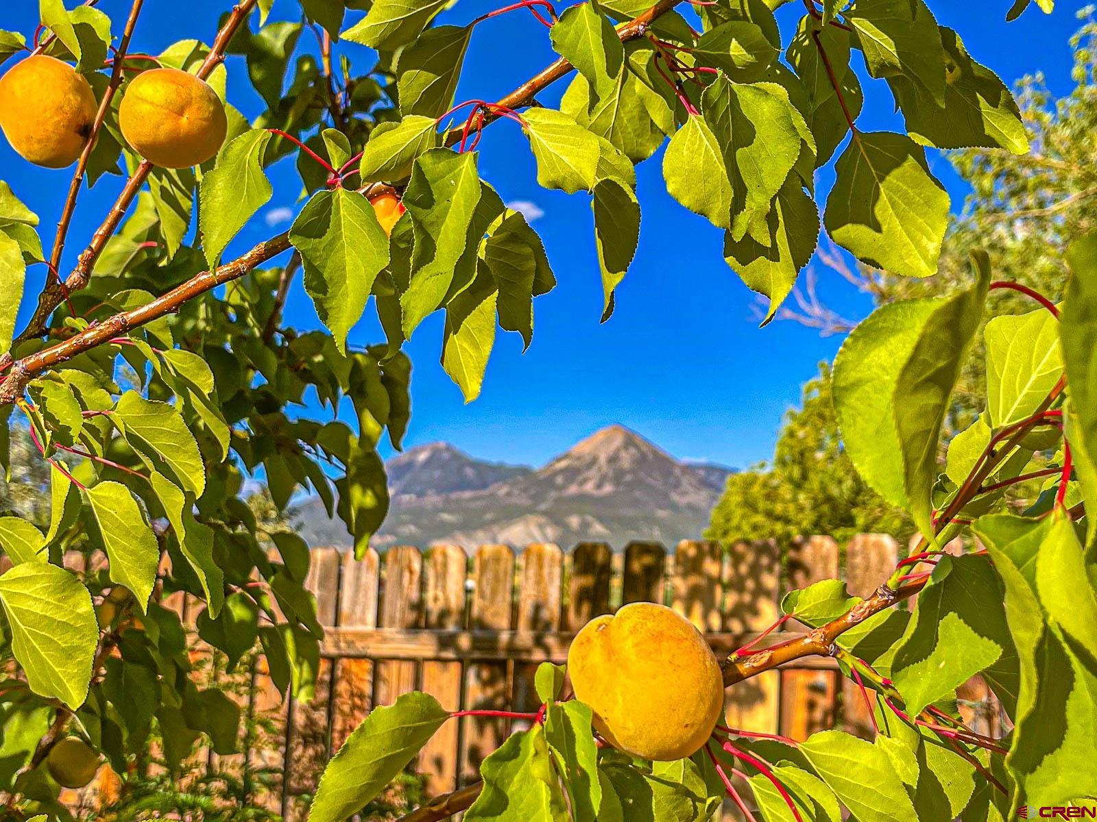 5085 3675th Road Crawford, CO 81415 - Photo 34 of 35 a view of an outdoor space and street view