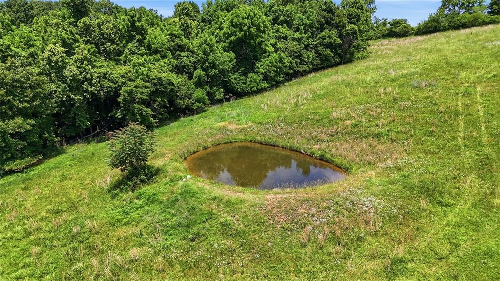 3349 County Rd NE7614 Anderson, MO 64831 - Photo 55 of 59