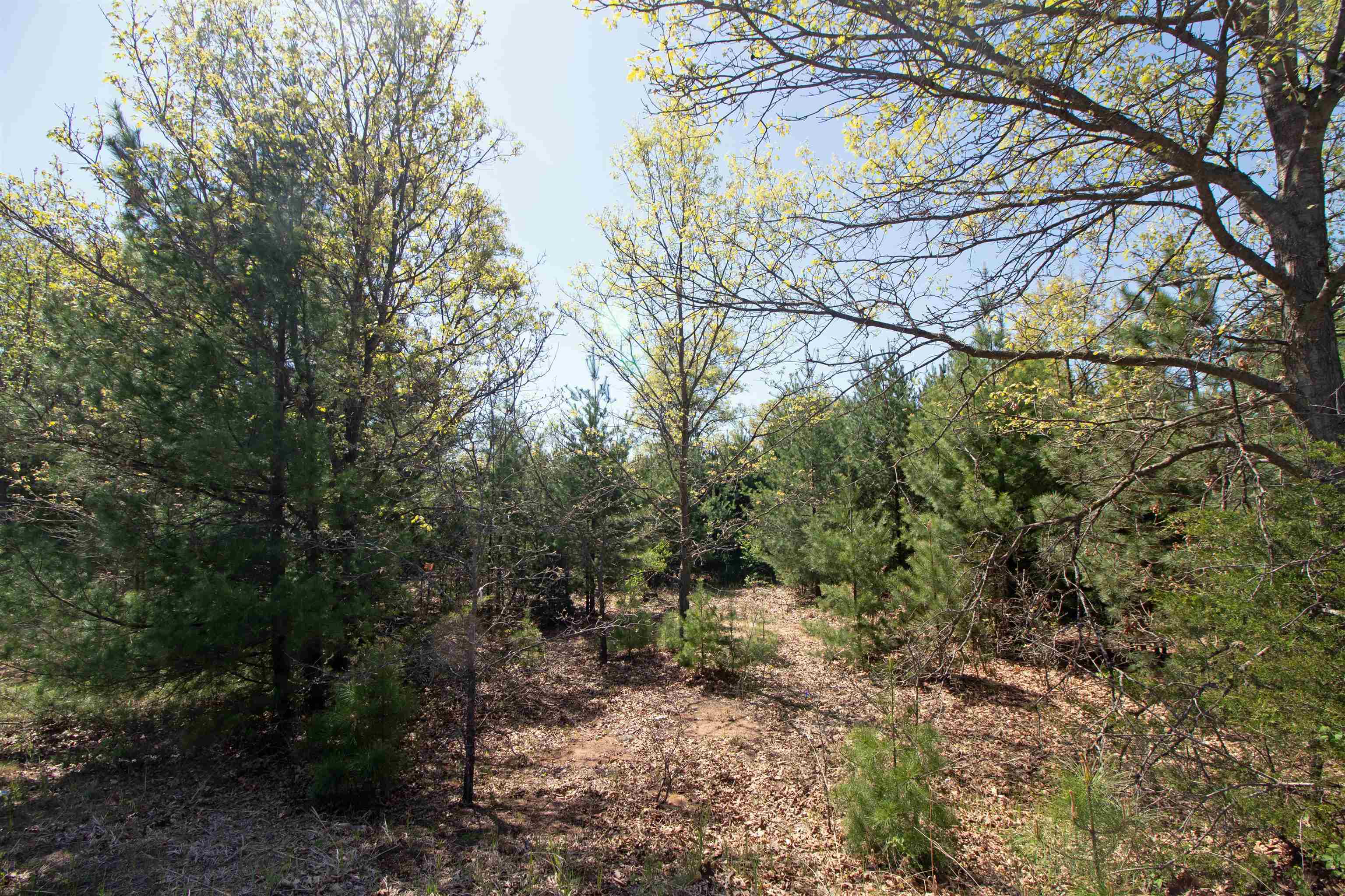 Lot20 Lot20 Timber Spring Green Spring Green, WI 53588 - Photo 11 of 15