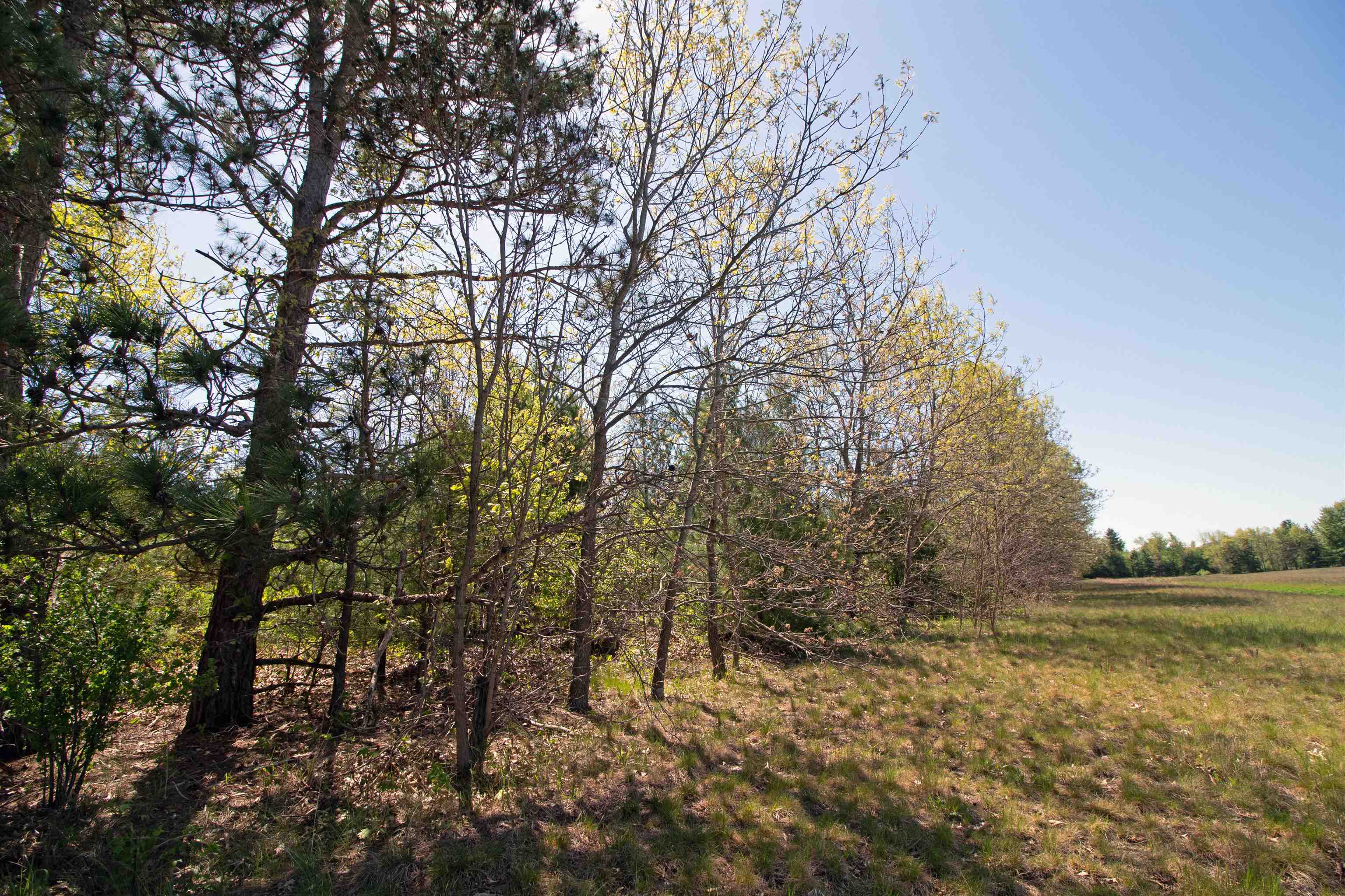 Lot20 Lot20 Timber Spring Green Spring Green, WI 53588 - Photo 12 of 15