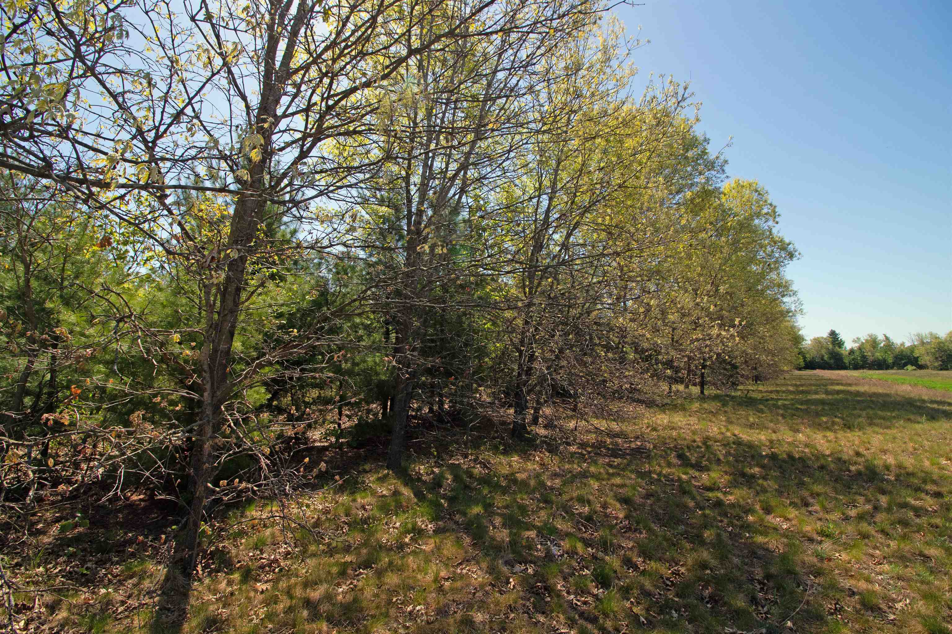 Lot20 Lot20 Timber Spring Green Spring Green, WI 53588 - Photo 13 of 15