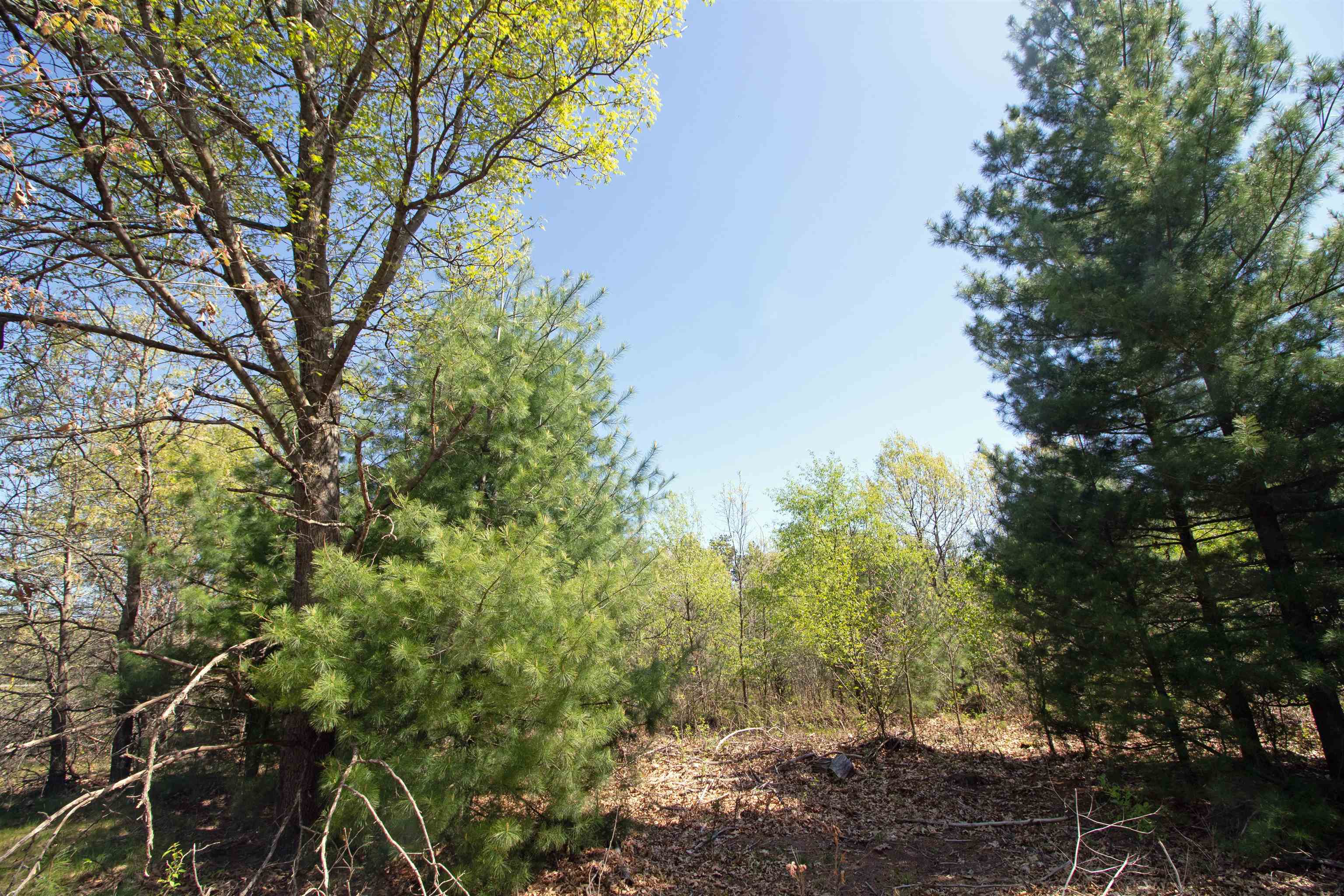 Lot20 Lot20 Timber Spring Green Spring Green, WI 53588 - Photo 15 of 15