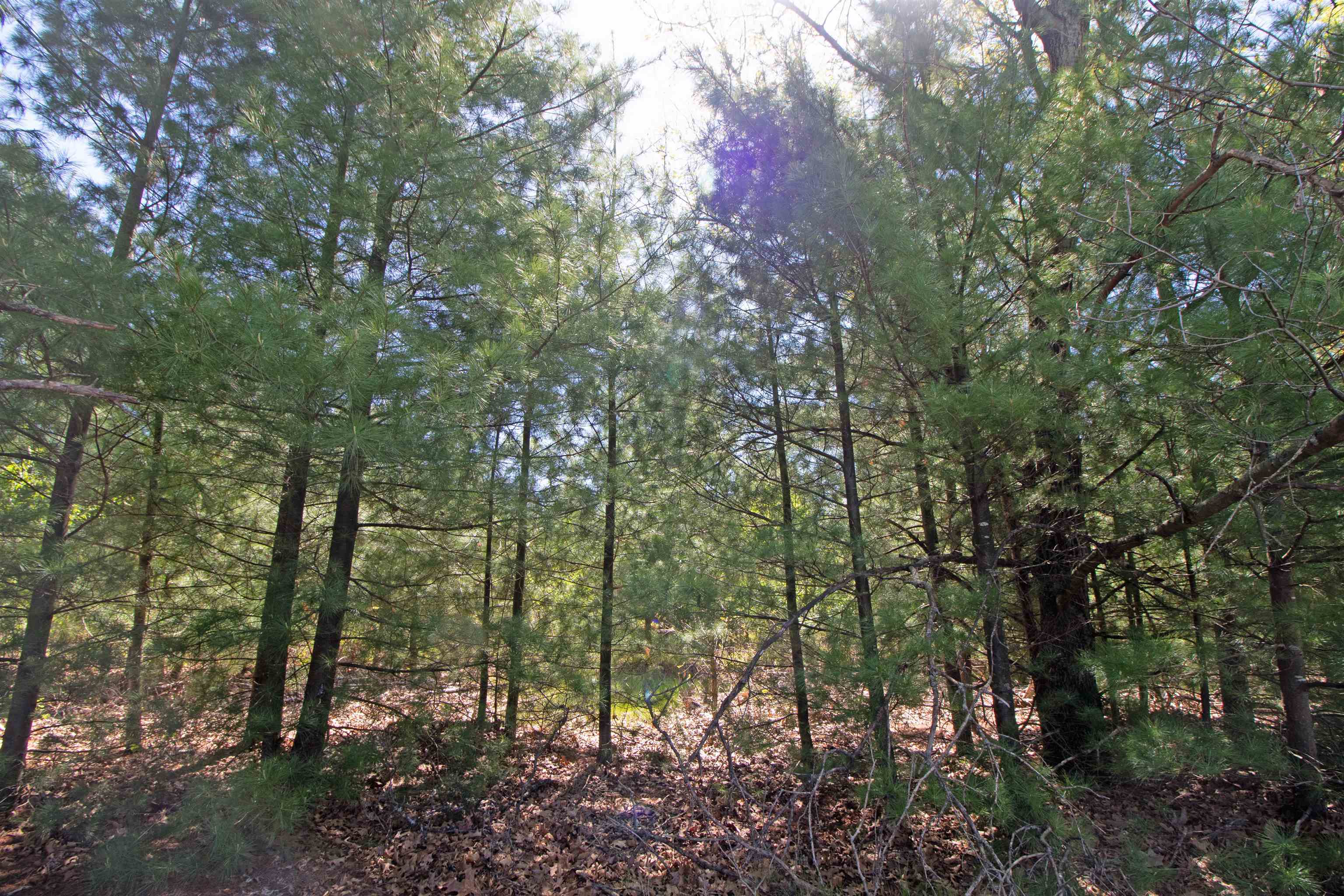 Lot20 Lot20 Timber Spring Green Spring Green, WI 53588 - Photo 2 of 15