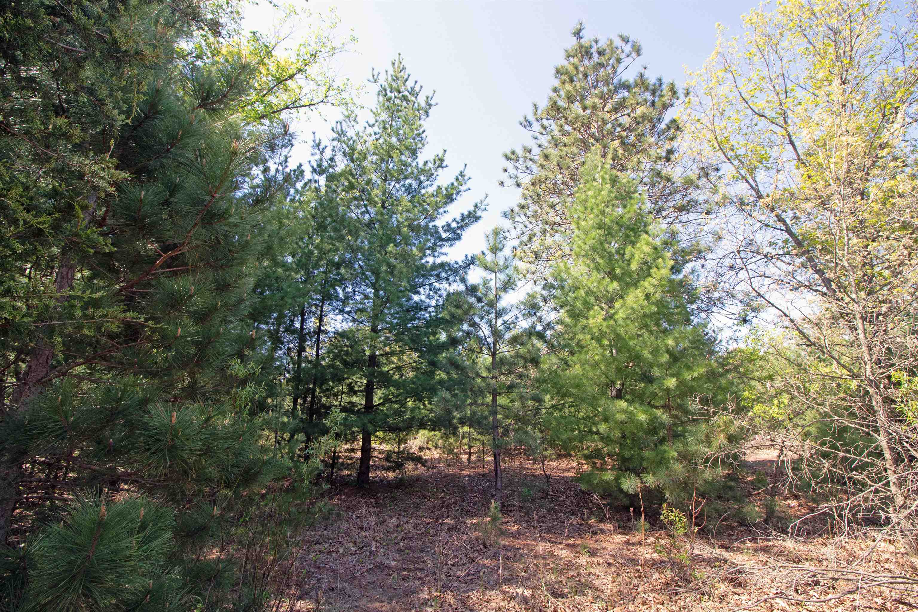 Lot20 Lot20 Timber Spring Green Spring Green, WI 53588 - Photo 3 of 15
