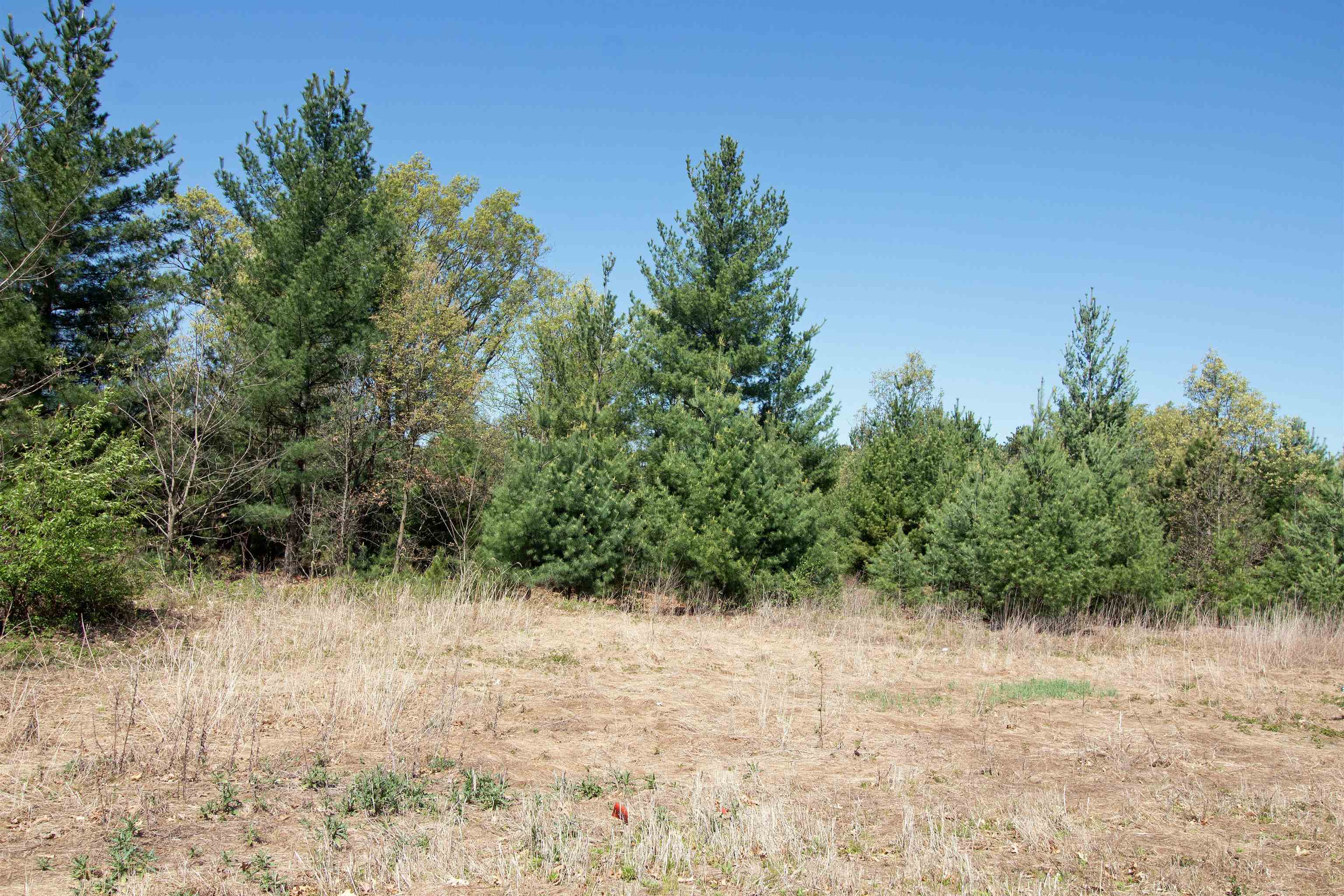 Lot20 Lot20 Timber Spring Green Spring Green, WI 53588 - Photo 4 of 15