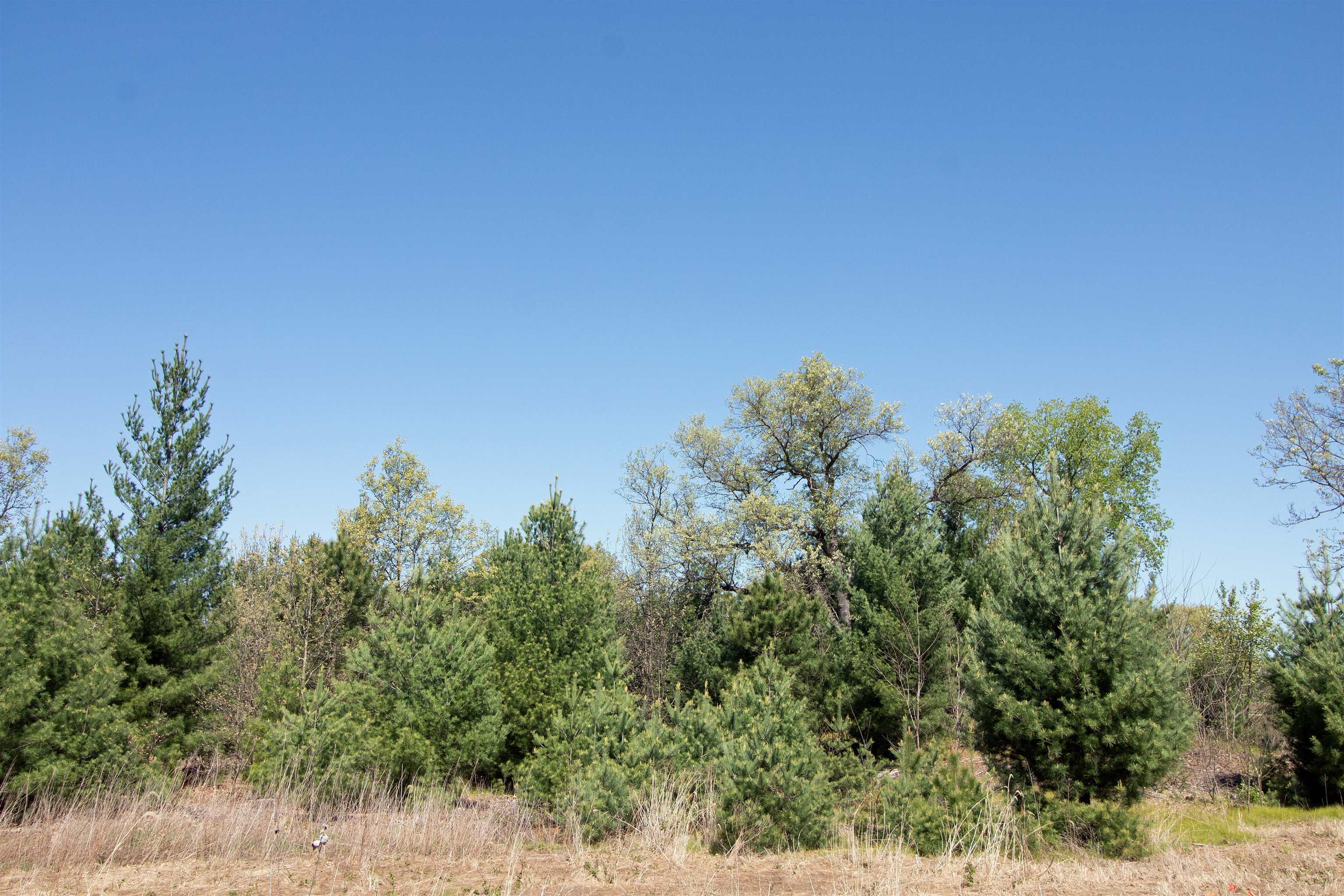 Lot20 Lot20 Timber Spring Green Spring Green, WI 53588 - Photo 5 of 15
