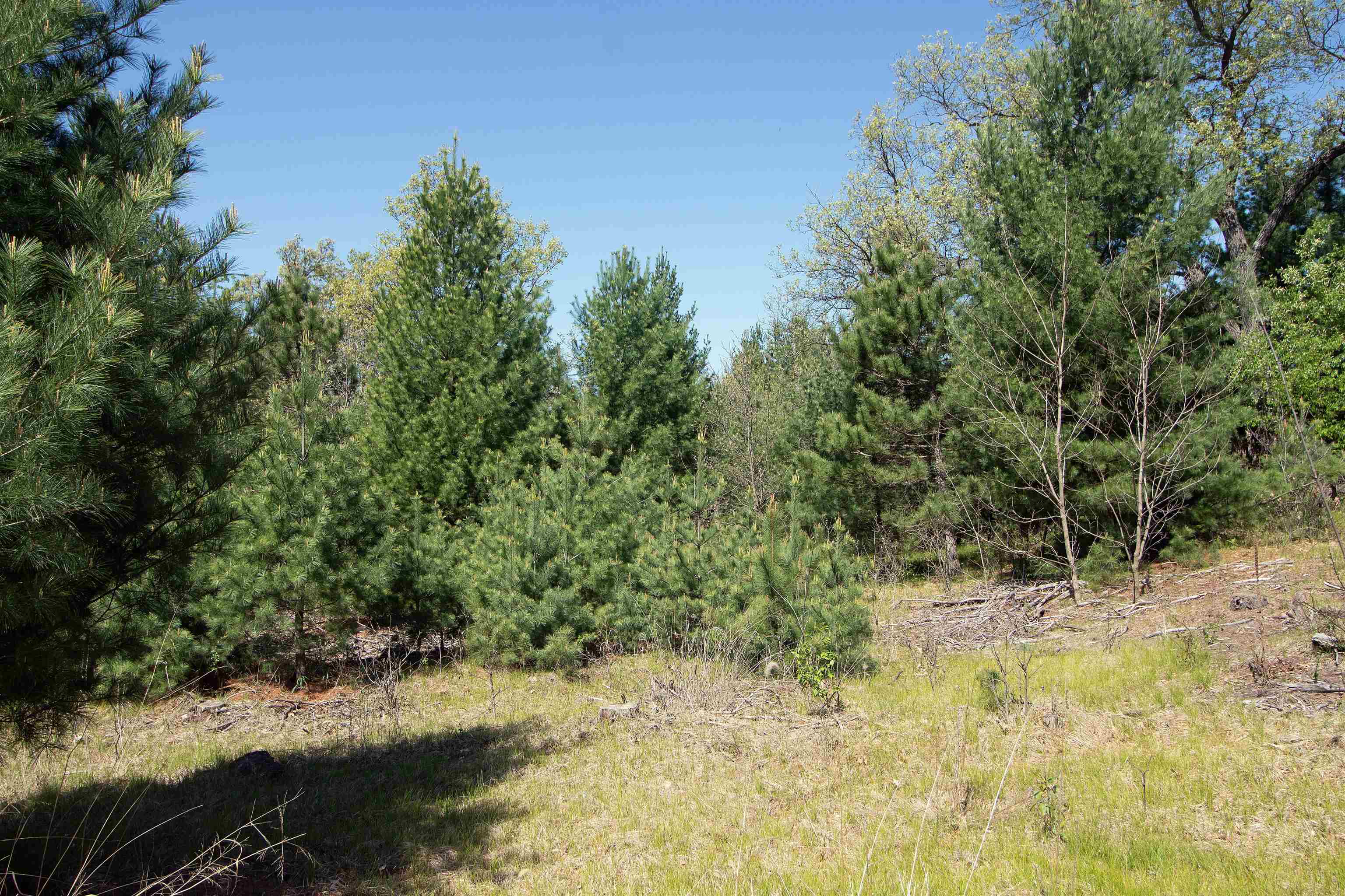 Lot20 Lot20 Timber Spring Green Spring Green, WI 53588 - Photo 6 of 15