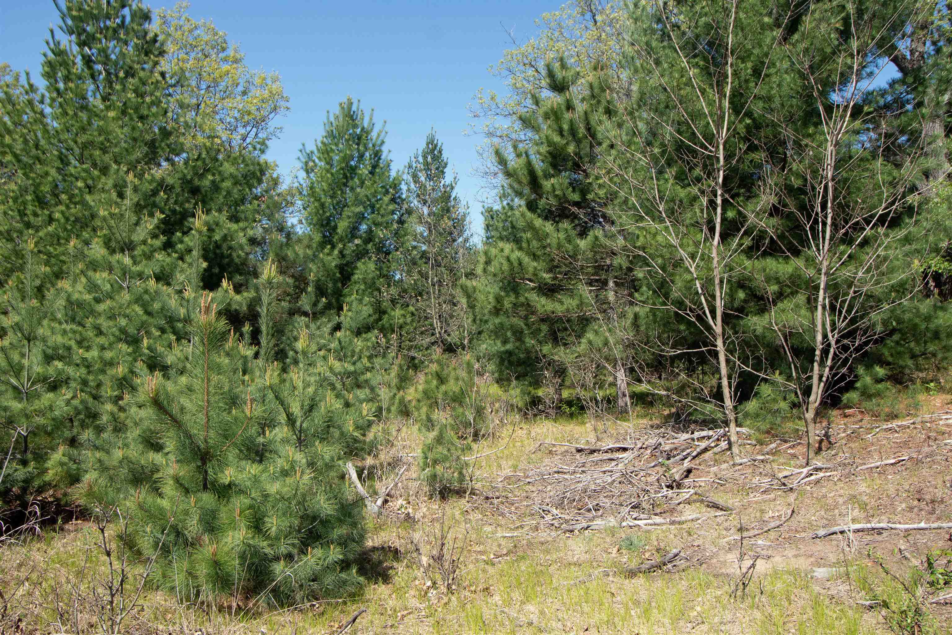 Lot20 Lot20 Timber Spring Green Spring Green, WI 53588 - Photo 7 of 15
