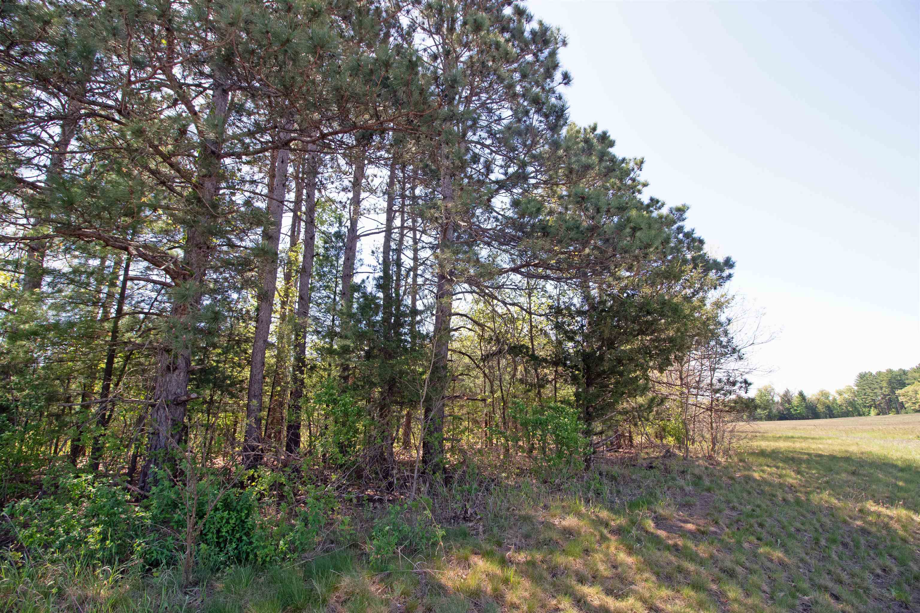 Lot20 Lot20 Timber Spring Green Spring Green, WI 53588 - Photo 8 of 15