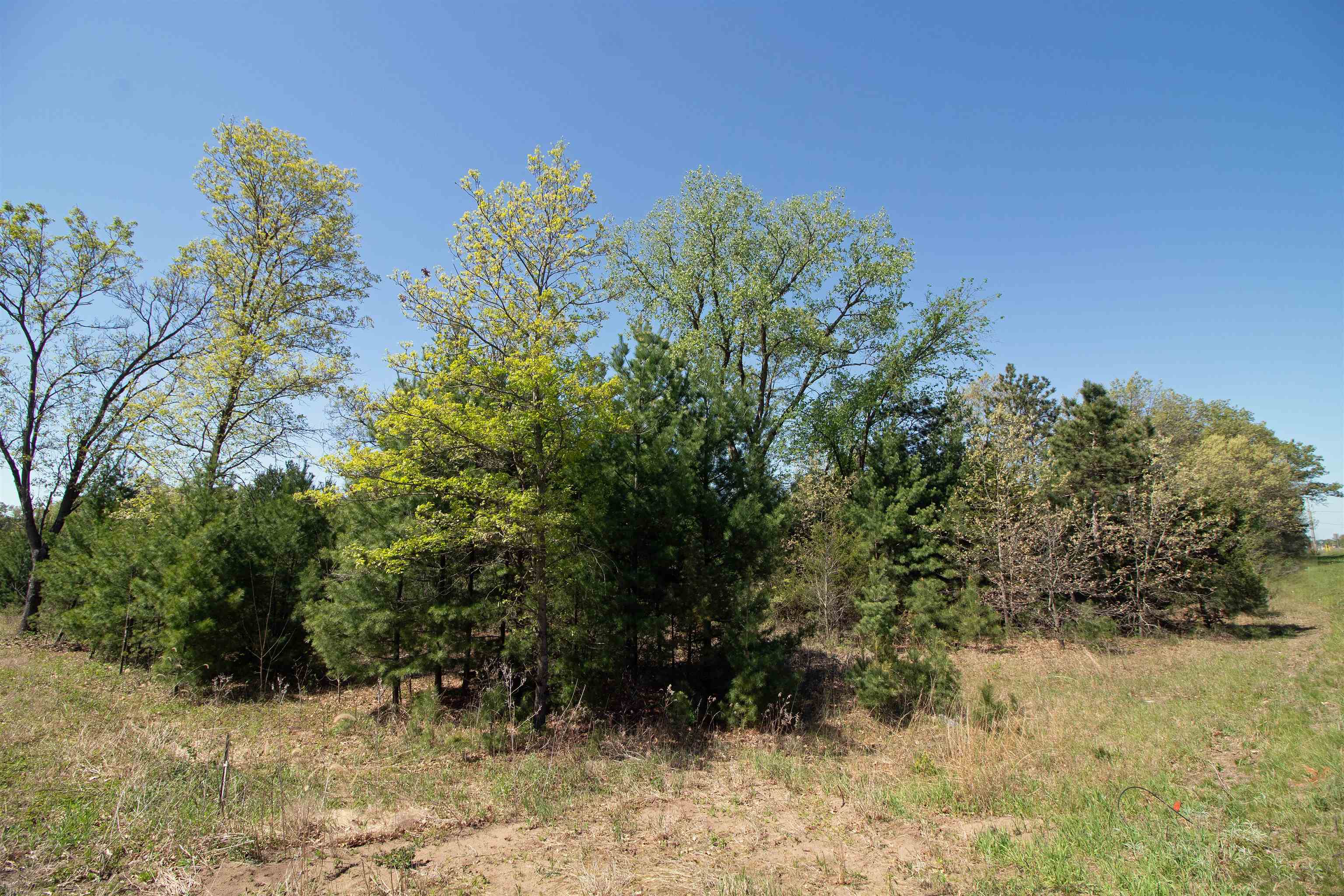 Lot20 Lot20 Timber Spring Green Spring Green, WI 53588 - Photo 9 of 15
