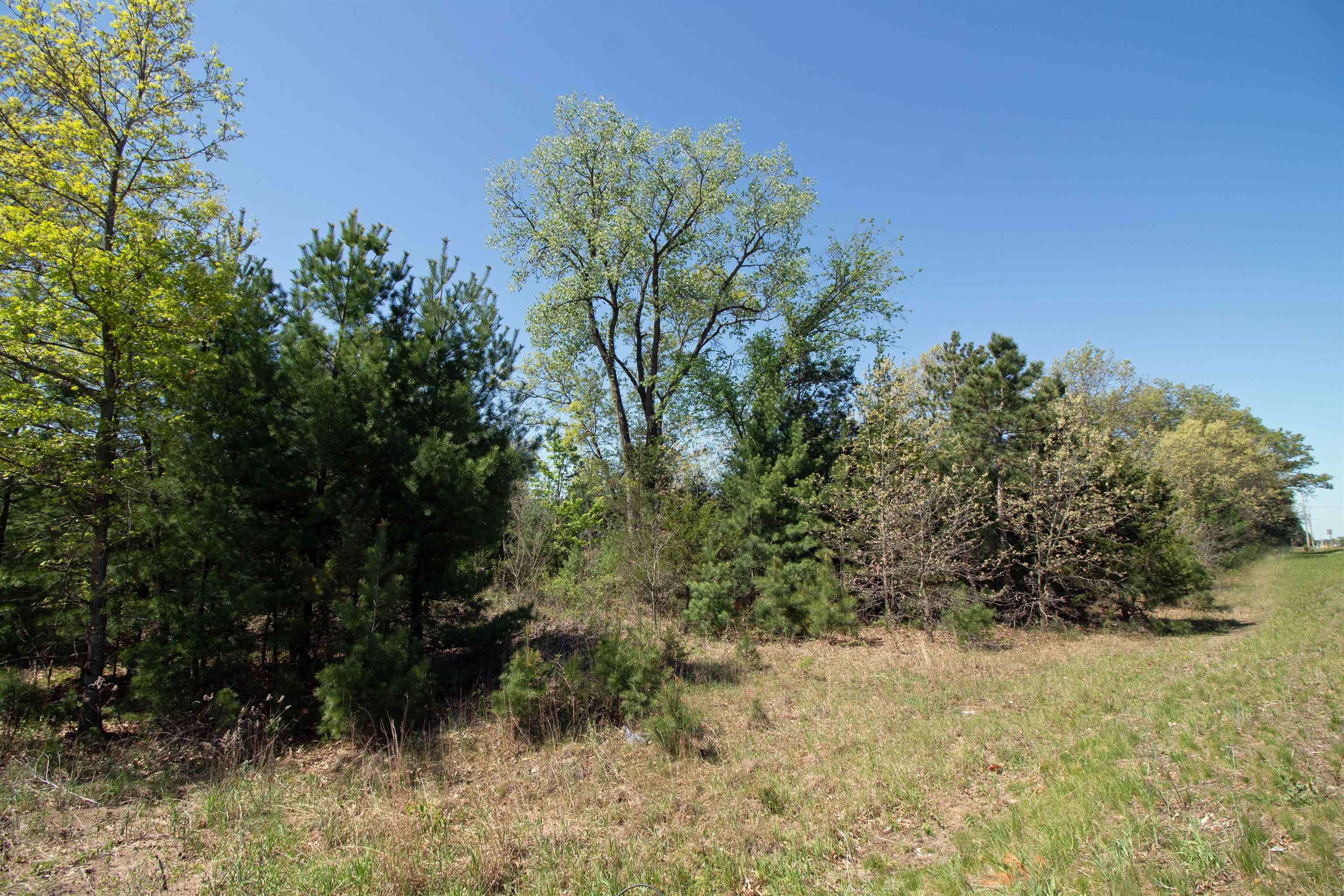 Lot20 Lot20 Timber Spring Green Spring Green, WI 53588 - Photo 10 of 15