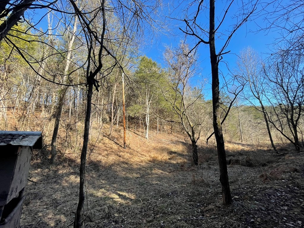 0 Sims Road Sevierville, TN 37876 - Photo 7 of 22