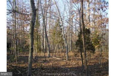 0 Snake Hill Road Middleburg, VA 20117 - Photo 3 of 20 a view of forest