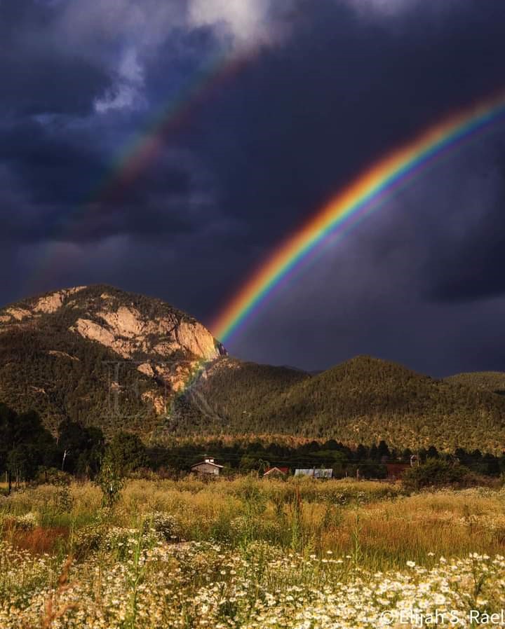 7 Martinez Road Arroyo Seco, NM 87529 - Photo 10 of 11 Gallery Image 10