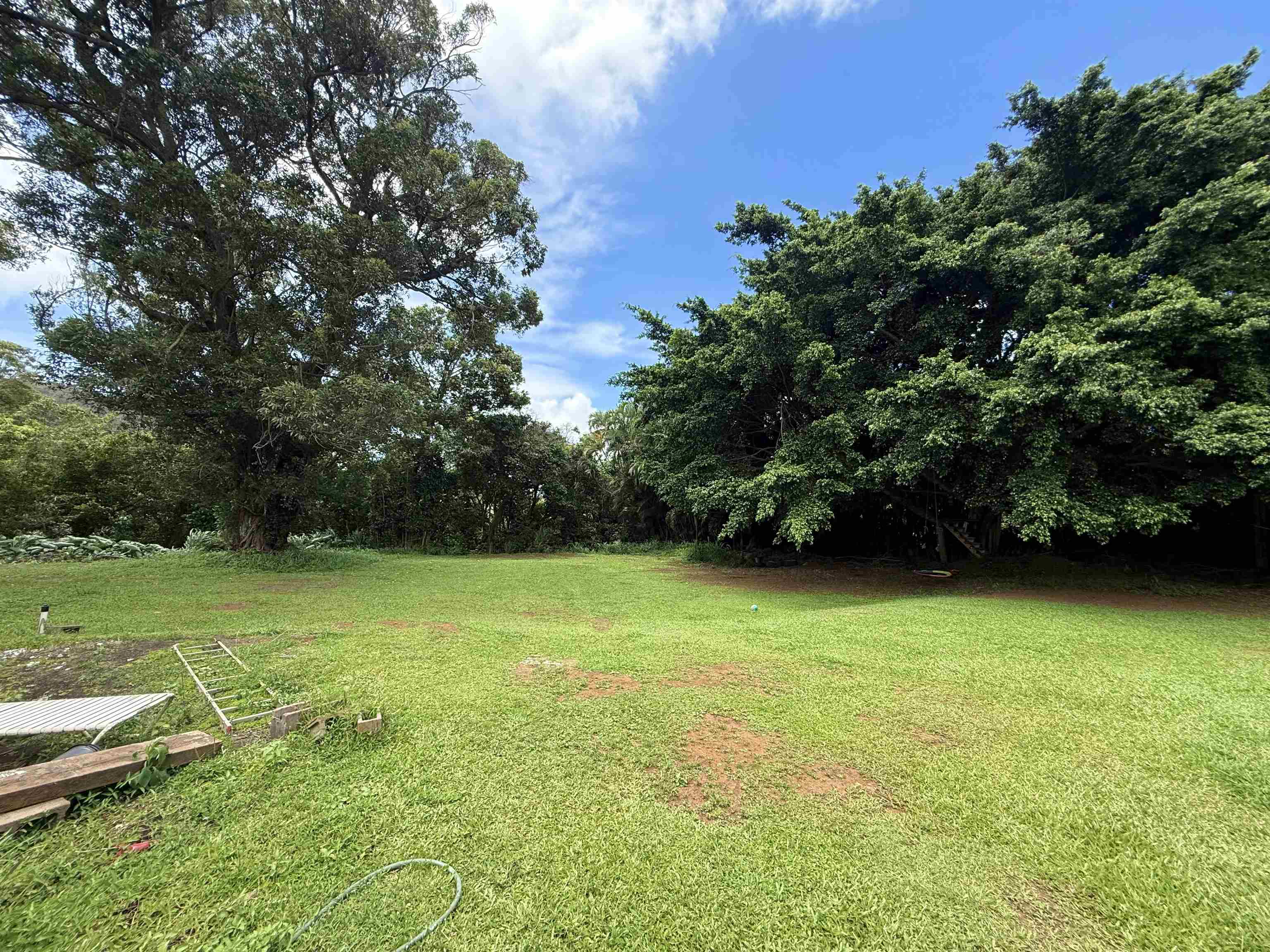 1630 Kauhikoa Road Haiku, HI 96708 - Photo 43 of 48 a view of a field with a trees