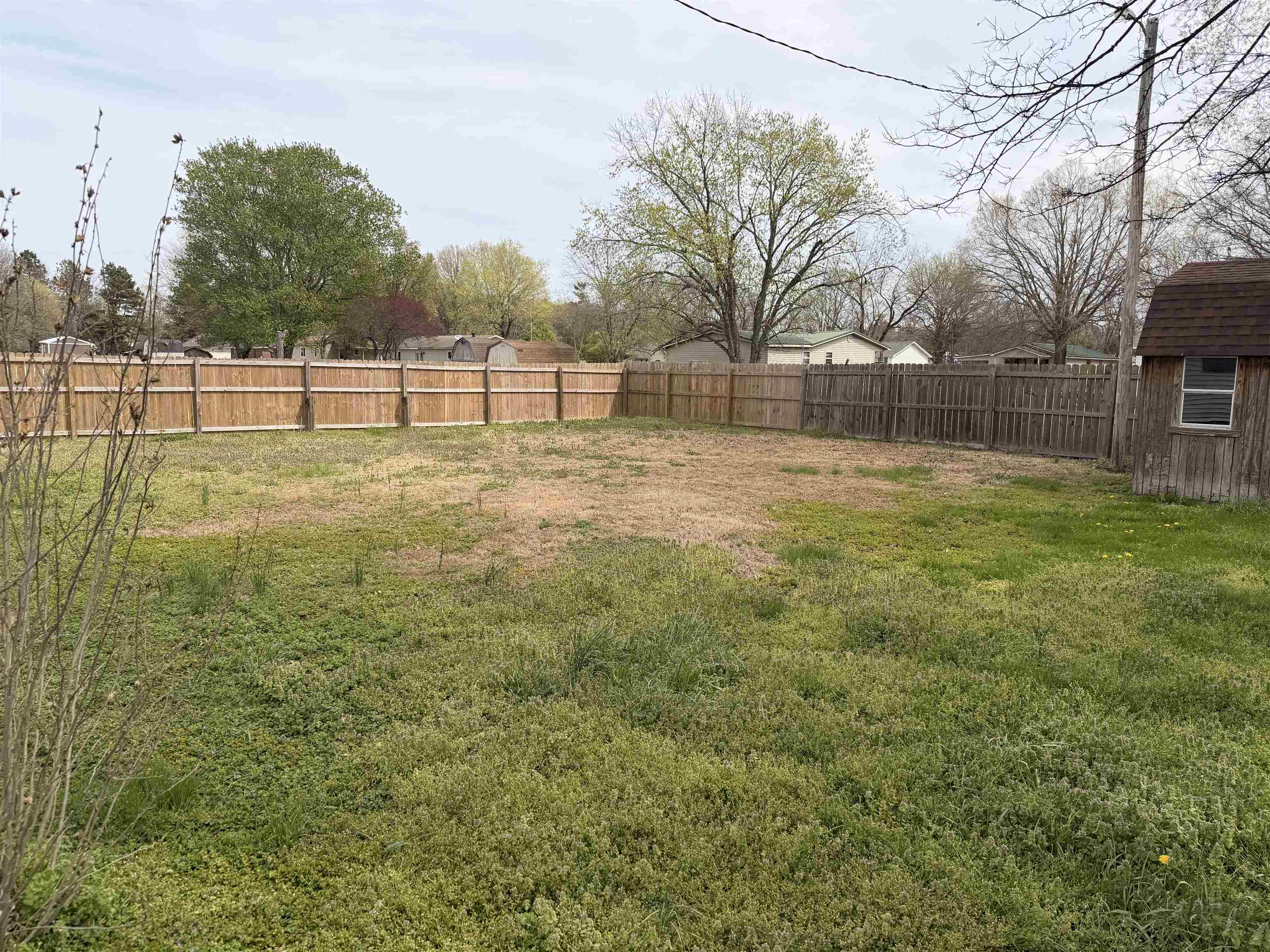 322 Robin Drive Ripley, TN 38063 - Photo 8 of 8 a view of a backyard