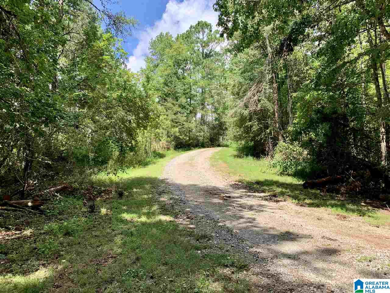 0 Brown Road Calera, AL 35040 - Photo 17 of 18