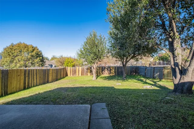 a view of a backyard