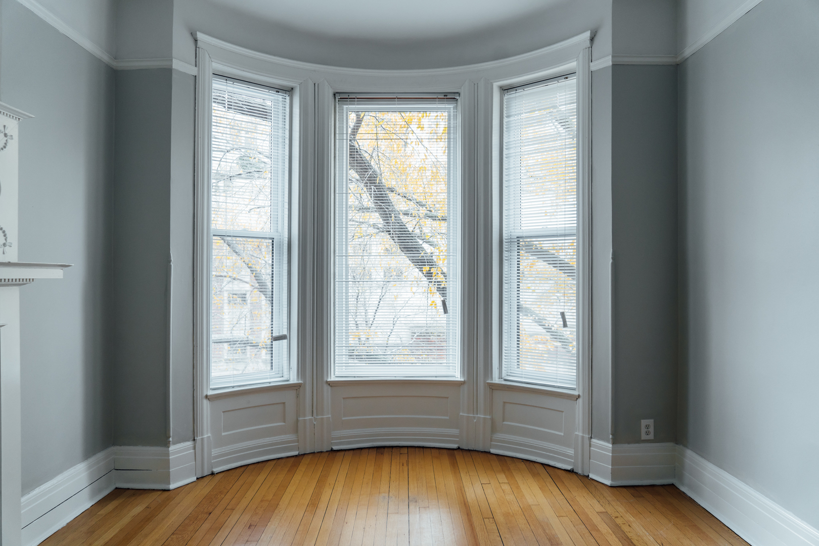 10 West Chestnut Street, Unit 3 Chicago, IL 60610 - Photo 3 of 16