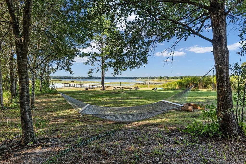 9947 Southeast 117th Street Road Belleview, FL 34420 - Photo 9 of 44 a view of a golf course with a tree