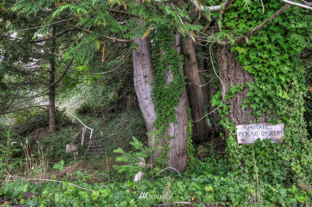 9340 Misery Point Road Northwest Seabeck, WA 98380 - Photo 22 of 24 Gallery Image 22