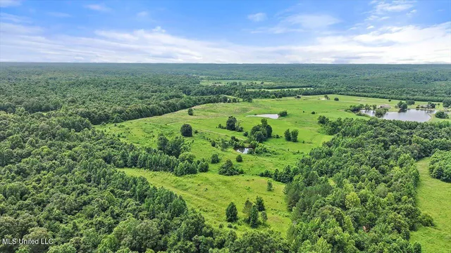 $1,850,000 | 499 Breakwater Drive, Benton, MS 39039