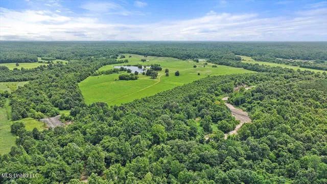 $1,850,000 | 499 Breakwater Drive, Benton, MS 39039