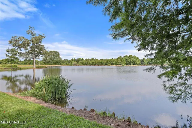 $1,850,000 | 499 Breakwater Drive, Benton, MS 39039